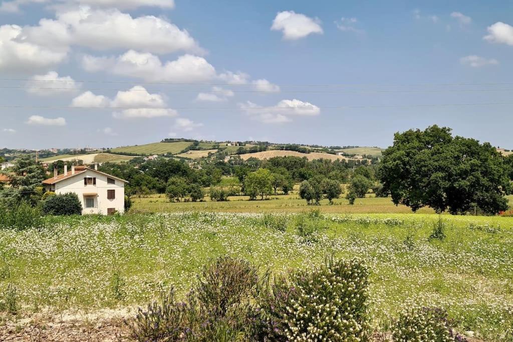 Villa Sant Isidoro Corinaldo Exterior photo